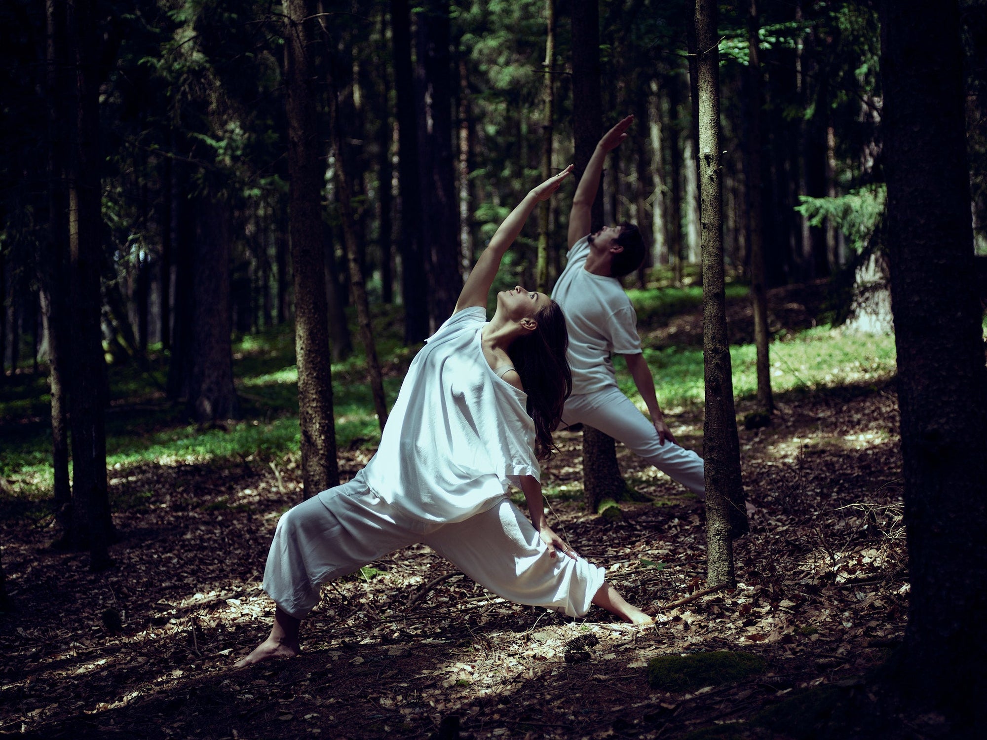 Yoga in der Natur von Hamsa Yogis
